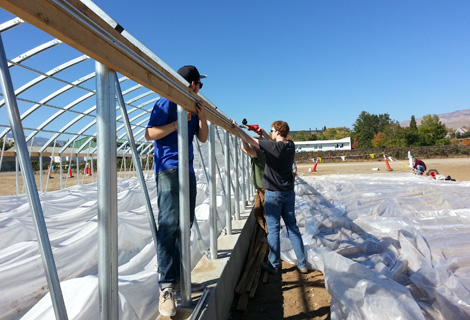 Hoop House